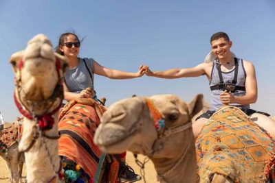 Cammellata nel deserto