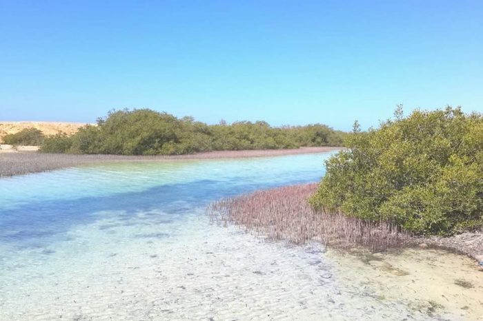 Il Parco Marino di Ras Mohamed Giornata intera con il Bus VIP